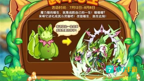 洛克王国魔力猫练级