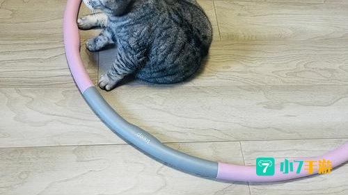 圈小猫